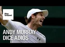 Enlace a El adiós de un gran tenista