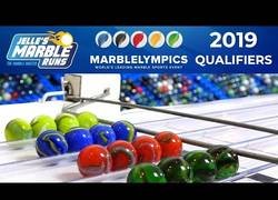 Enlace a Las olimpiadas de carreras de canicas ya está aquí más apasionante que nunca