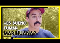 Enlace a Las consecuencias de fumar marihuana