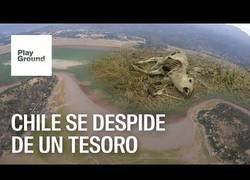 Enlace a Desastre medioambiental en Chile