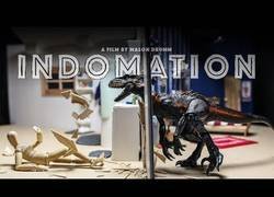 Enlace a Indomation: un corto en stop-motion