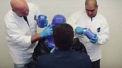 Enlace a Crean un muñeco de silicona de Arnold Schwarzenegger para Terminator y el resultado es brutal