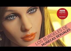 Enlace a Los burdeles de muñecas en Europa