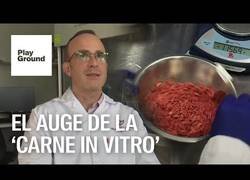Enlace a La carne cultivada en laboratorio podría llegar a los supermercados