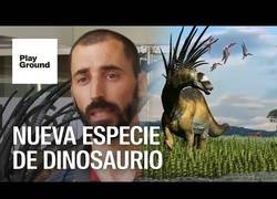 Enlace a Descubrimiento de un nuevo dinosaurio