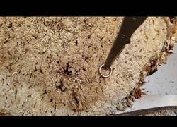 Enlace a Este tipo lanza un anillo al aire y logra clavar el cuchillo ensartándolo en un tronco