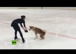 Enlace a Esta campeona olímpica de Pyeongchang 2018 se graba como entrena con su perrita