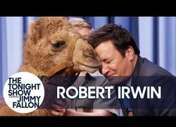 Enlace a El hijo del mítico Steve Irwin, de visita al plató de Jimmy Fallon para mostrarle varios animales