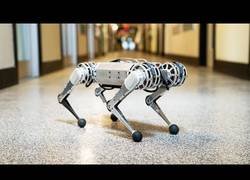 Enlace a Este robot autónomo es el primero que puede hacer un backflip