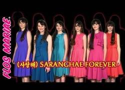 Enlace a Flos Mariae se pasa al K-Pop