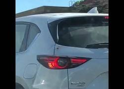 Enlace a Esto da para película: atrapado en un atasco se le cuela una araña por el maletero del coche