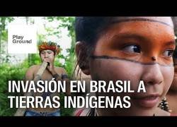 Enlace a Invasión en  tierras indígenas de Brasil