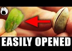 Enlace a Hay cosas que simplemente estás haciendo muy mal en la vida