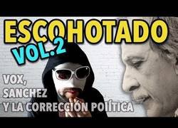 Enlace a Vox, Pedro Sánchez y la corrección política