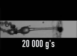 Enlace a Hongos con superpoderes