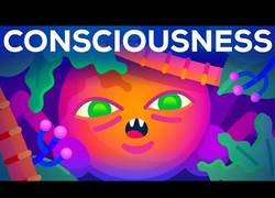 Enlace a El origen de la conciencia: cómo las cosas inconscientes se hicieron conscientes