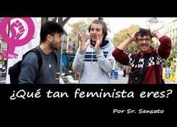 Enlace a ¿Cuántas palabras respecto al feminismo conocéis?