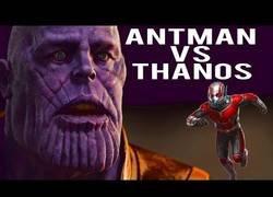 Enlace a El final de Thanos que Marvel no se atreve a hacer con Antman como protagonista