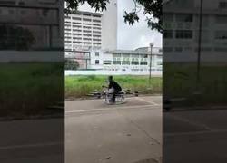 Enlace a El futuro se acerca cada vez más