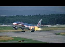 Enlace a Pájaros muriendo en el acto al impactar contra aviones en pleno vuelo