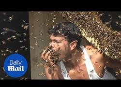 Enlace a Hora de meterse unas cuantas abejas en la boca para desayunar