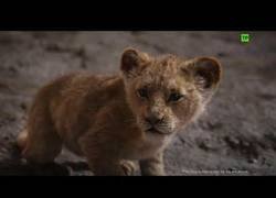 Enlace a Llega el tráiler oficial de El Rey León