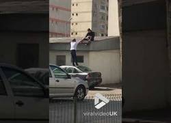 Enlace a Cuando dos mentes no muy inteligentes se juntan puede pasar algo así