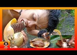 Enlace a La aventura de comerse un caracol gigante a la brasa