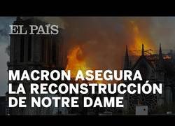 Enlace a Desgraciadamente, Notre Dame, ha ardido. Pero se podrá reconstruir
