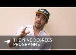 Enlace a El programa de los 9 grados