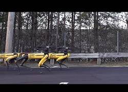Enlace a Boston Dynamics va un paso más allá y se inventa el trineo con robots