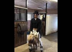 Enlace a Montando un poni con mucho estilo