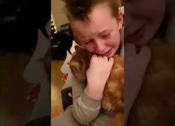 Enlace a El emotivo encuentro de este niño y su gato que se perdió hace 7 meses