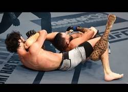 Enlace a Las sumisiones más raras vistas en combates de la MMA