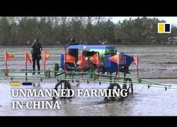 Enlace a Plantación automatizada en China