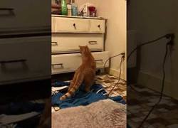 Enlace a Hay algo que le da mucho miedo a Michu