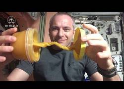 Enlace a Así reacciona la miel en el espacio en gravedad 0