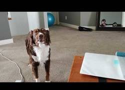 Enlace a Suena su canción favorita y se pone a cantar