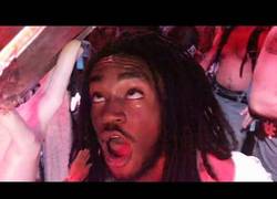 Enlace a Show de luces le roba el alma