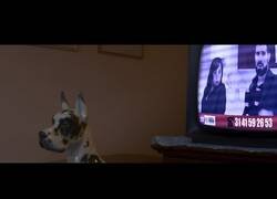 Enlace a DESATRANQUES JAÉN, ¡LA SERIE! - Segundo Tráiler