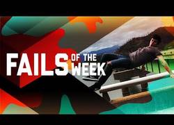 Enlace a Fails de la semana Failarmy