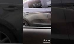 Enlace a Sacarle una sonrisa a un perro