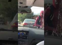 Enlace a La vida de Spider-man antes de los Vengadores