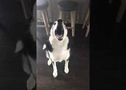 Enlace a Lalalalalalalala... no puedo oirte, lo siento