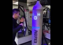 Enlace a Esto es Padipata: el saco de boxeo interactivo