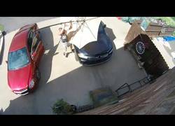 Enlace a Esto es a lo que llamamos tener buenos reflejos