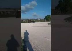 Enlace a Hace trompos con una carreta y un caballo