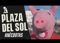 Enlace a Entrevista a los artistas callejeros de Sol