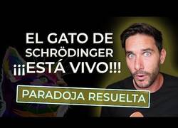 Enlace a La paradoja de Schrodinger explicada a causa de las nuevas averiguaciones