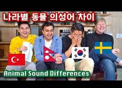 Enlace a Cómo suenan estos diferentes animales en cada país